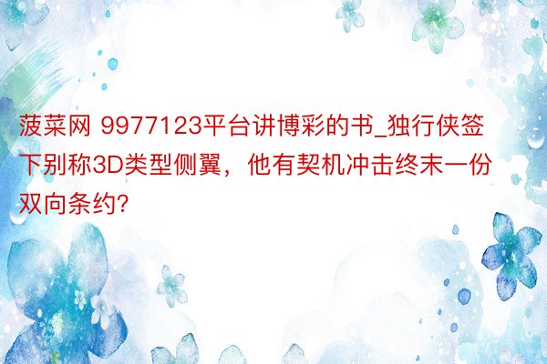 菠菜网 9977123平台讲博彩的书_独行侠签下别称3D类型侧翼，他有契机冲击终末一份双向条约？